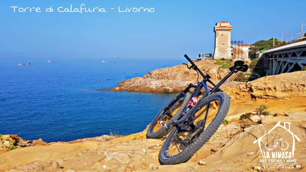 La Mimosa - Bike Friendly Home Rosignano Solvay Dış mekan fotoğraf