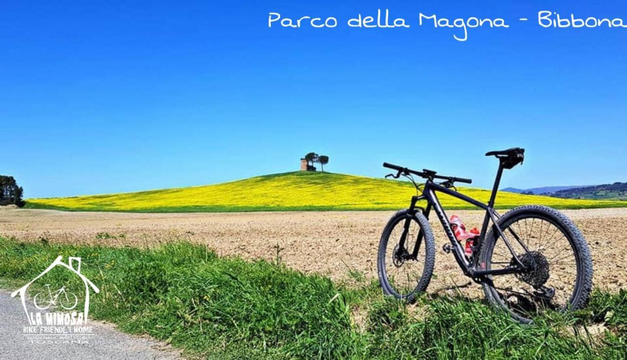 La Mimosa - Bike Friendly Home Rosignano Solvay Dış mekan fotoğraf