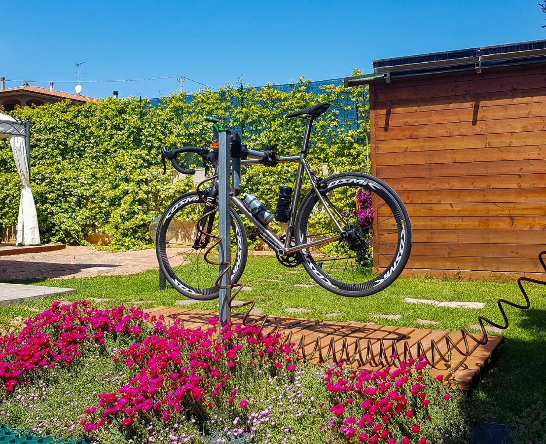 La Mimosa - Bike Friendly Home Rosignano Solvay Dış mekan fotoğraf