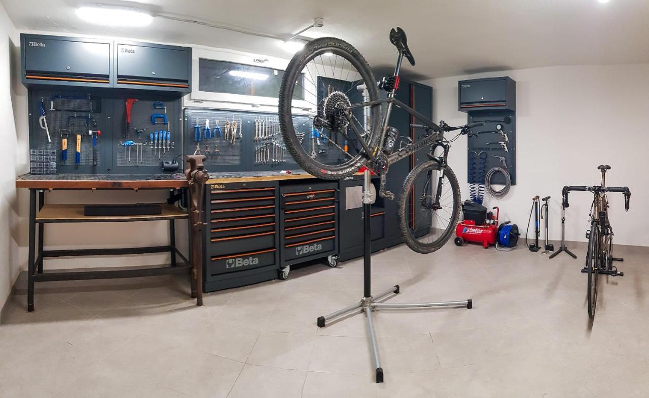 La Mimosa - Bike Friendly Home Rosignano Solvay Dış mekan fotoğraf