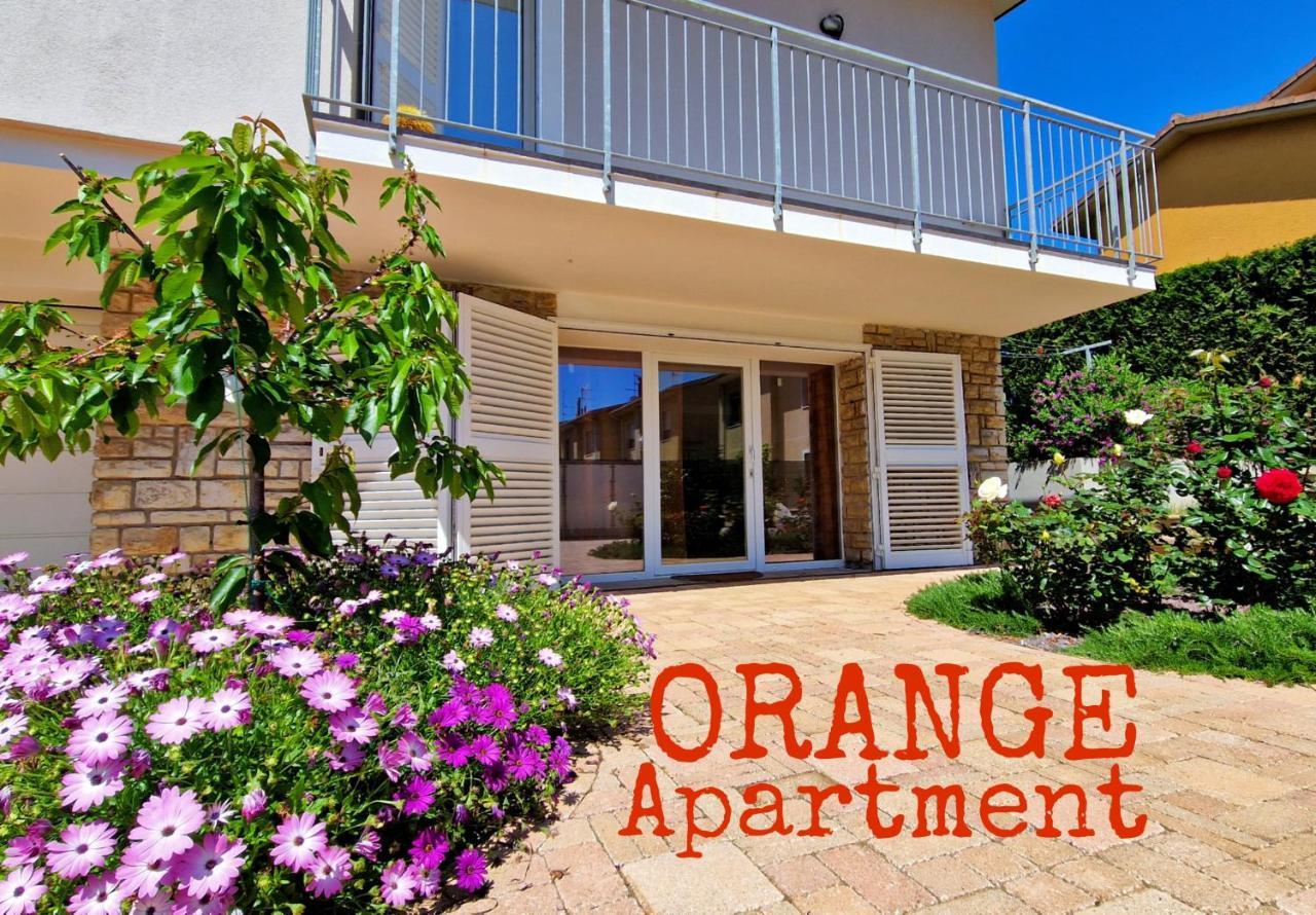 La Mimosa - Bike Friendly Home Rosignano Solvay Dış mekan fotoğraf